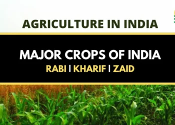 major crops in india