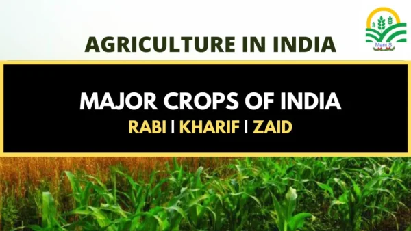 Major Crops in India