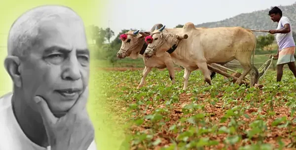 National Farmers Day or Rashtriya Kisan Diwas, 23 December