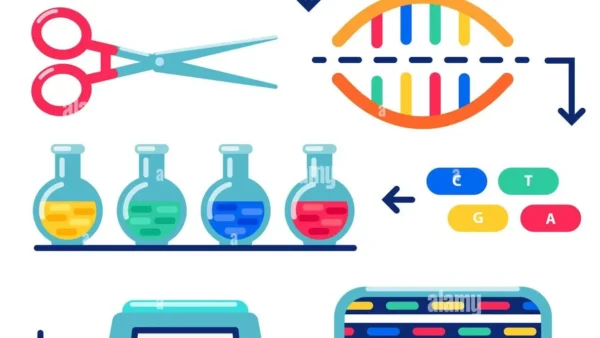 What is Human Genome Sequencing?