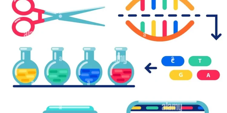 What is Human Genome Sequencing? 1 Human genome sequencing