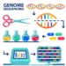 What is Human Genome Sequencing? 2 Human genome sequencing