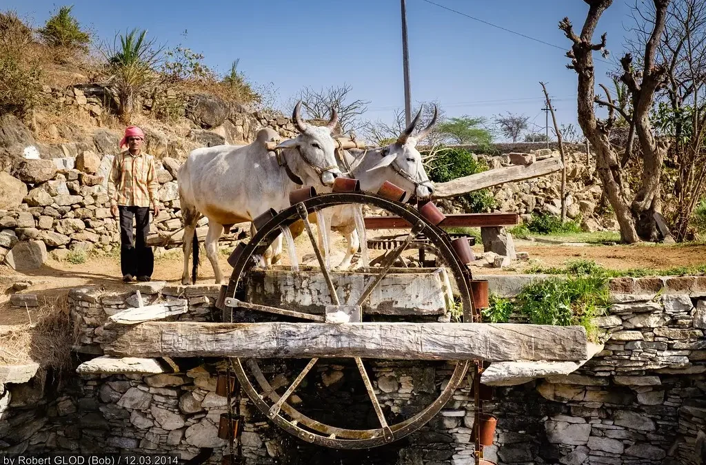 Araghatta, a mechanical device used for irrigation in medieval India