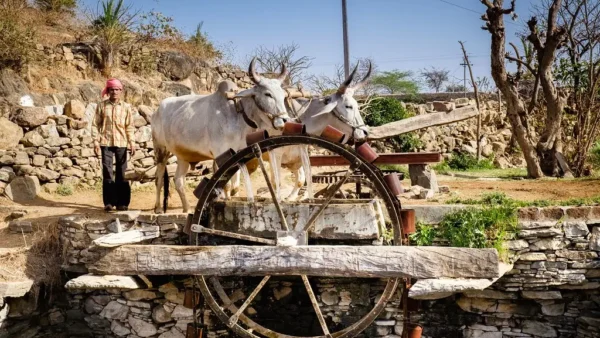 Araghatta, a mechanical device used for irrigation in medieval India